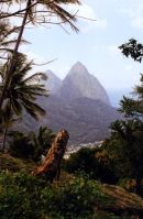 The Pitons,St Lucia